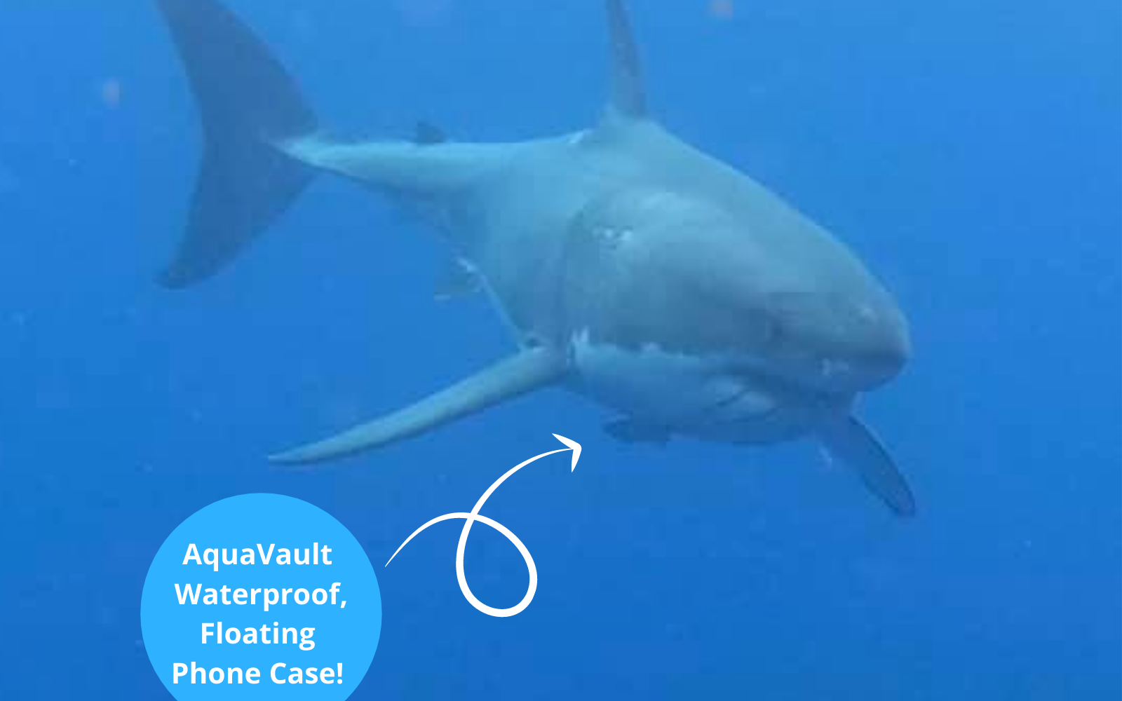 AquaVault-Phone-Case-Survives-Shark-Attack AquaVault Inc.