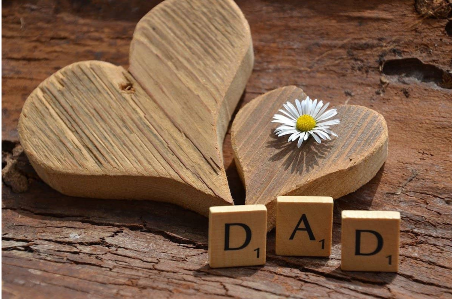 Best-Fathers-Day-Gifts-For-Travelers-2024 AquaVault Inc.