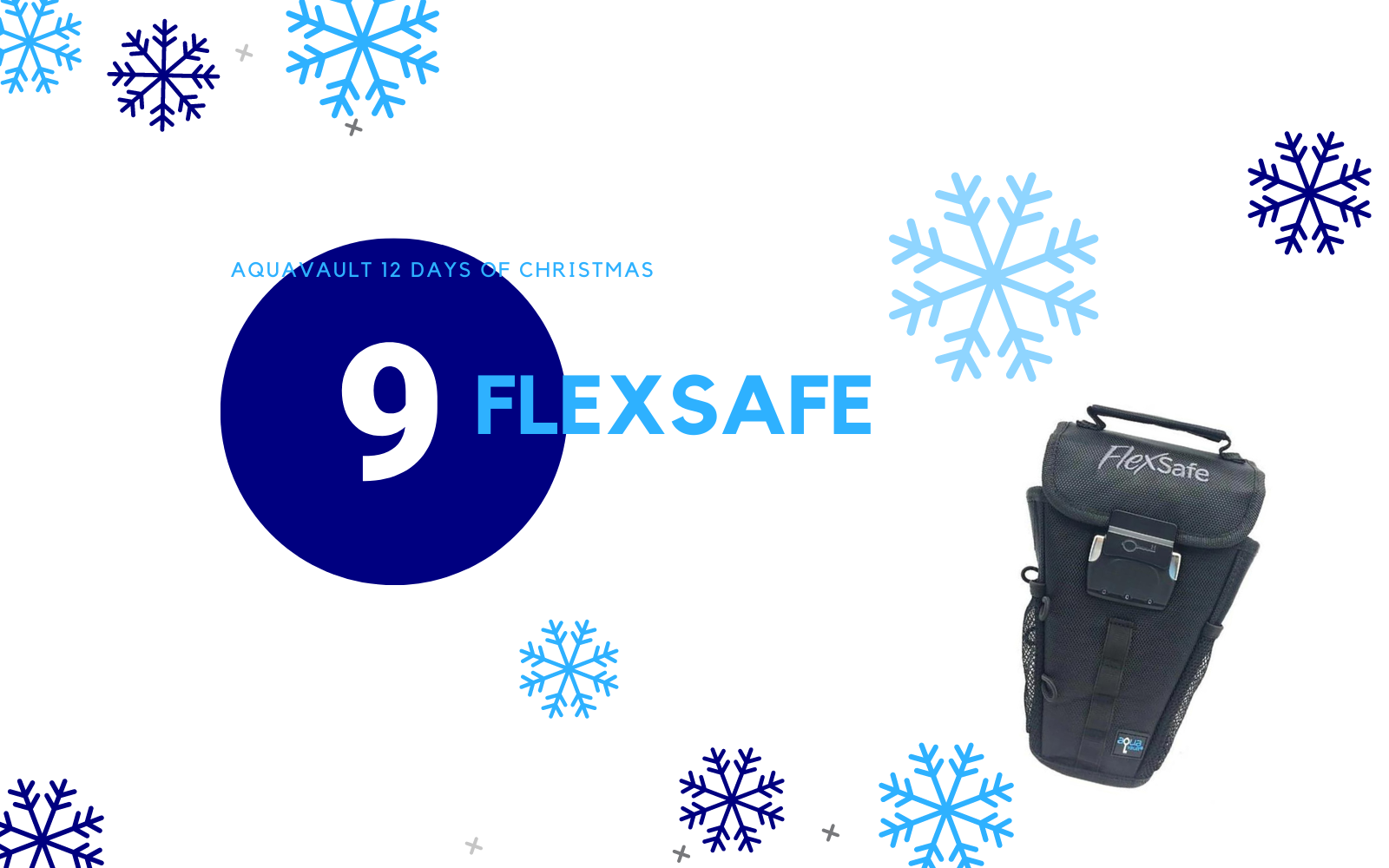 AquaVault 12 Days of Christmas - Day 9: FlexSafe