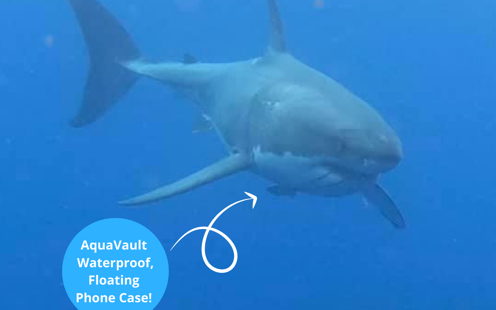 AquaVault Phone Case Survives Shark Attack!