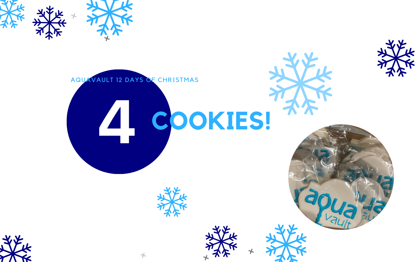 AquaVault 12 Days of Christmas - Day 4 : Cookies!