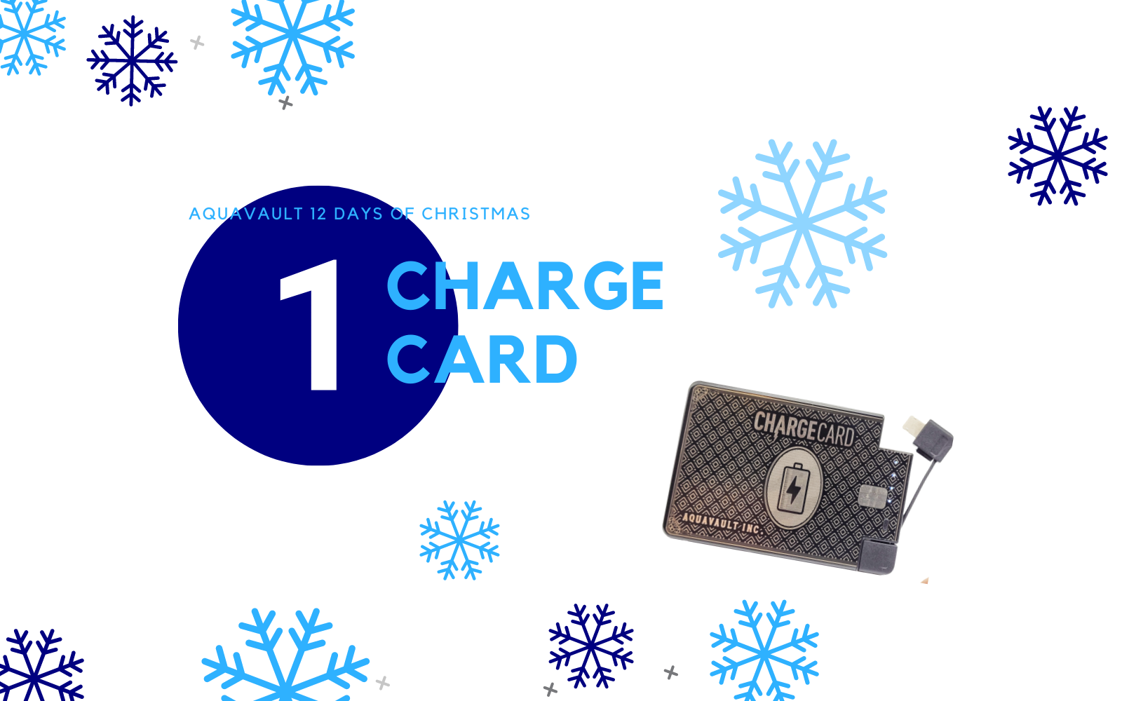 AquaVault 12 Days of Christmas - Day 1: ChargeCard