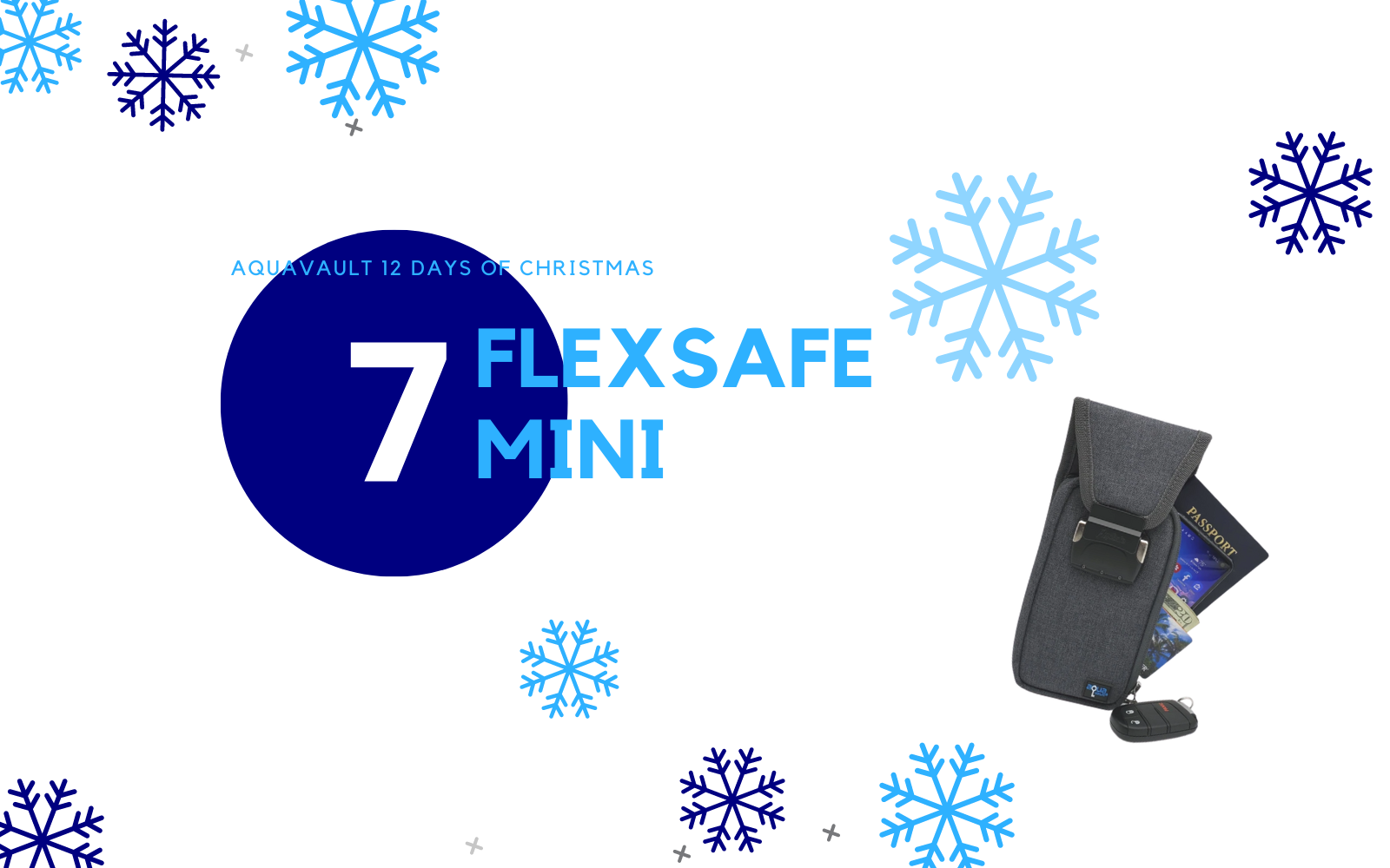 AquaVault 12 Days of Christmas - Day 7: FlexSafe Mini