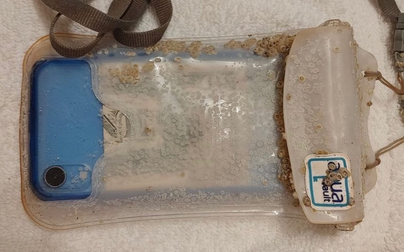 Message in a Bottle: AquaVault Phone Case Protects iPhone Lost at Sea